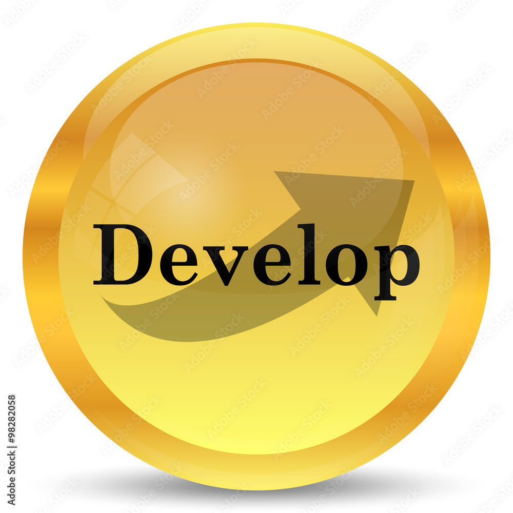 Develop icon