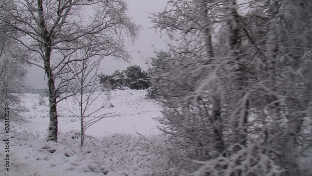 snowy forest & heath landscape - vehicle shot