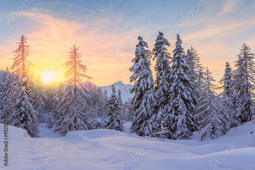 Trees covered with hoarfrost and snow in mountains