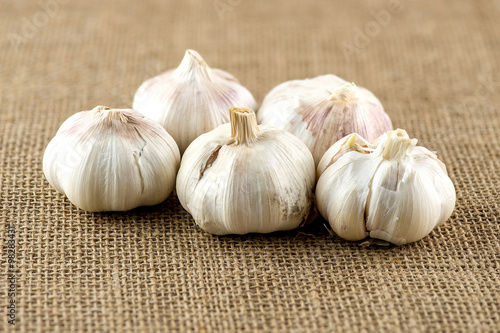 Closeup of fresh Australian garlic