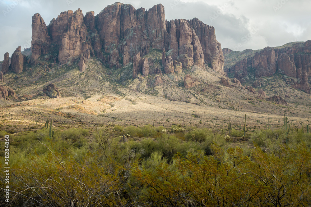 The Beautiful and Rugged Desert of Arizona USA The Beautiful and Rugged Desert of Arizona USA