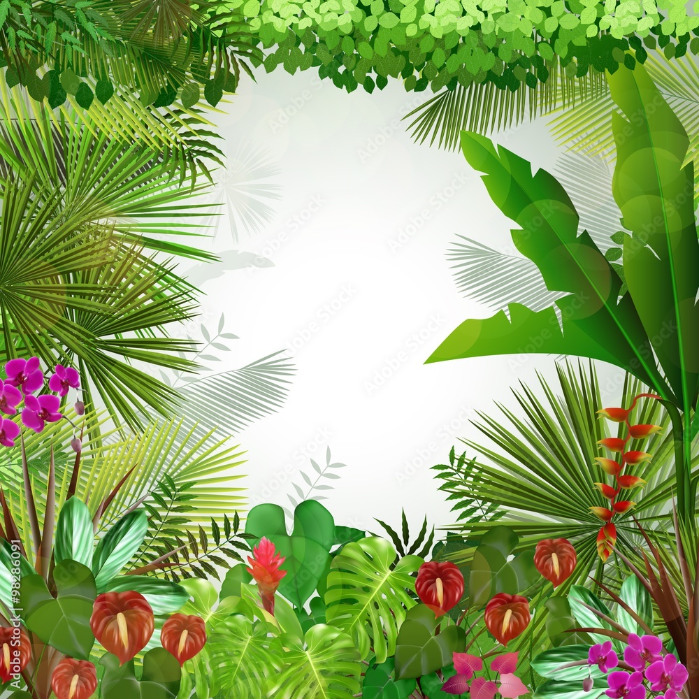 Fototapeta premium Tropical background beautiful 