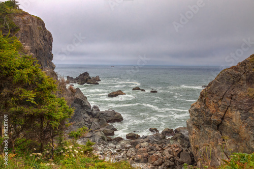 CA-Redwoods National Park-The Pacific Ocean is a spectacular sight along the coast of Northern California.