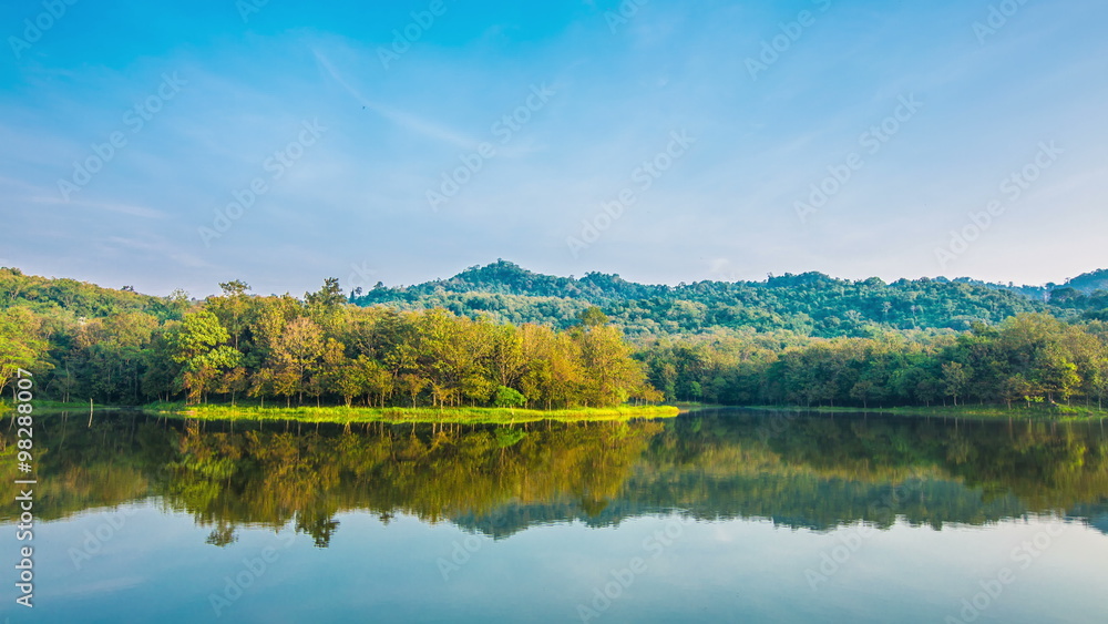 Water forests beautiful natural landscapes in Southeast Asia. Water forests beautiful natural landscapes in Southeast Asia.