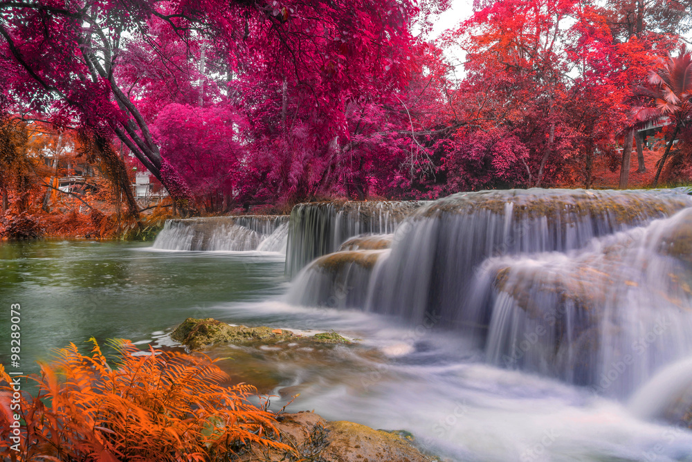 Waterfall in rain forest at national park