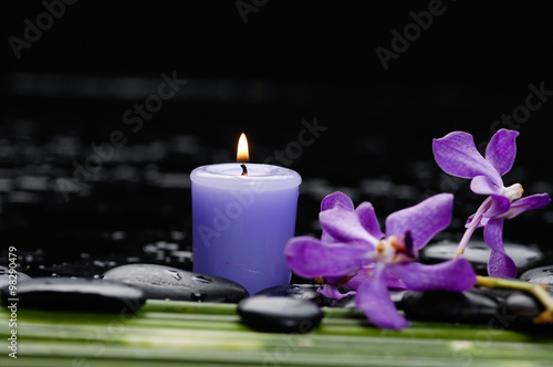 Branch orchid with long stem and stones ,candle on wet background