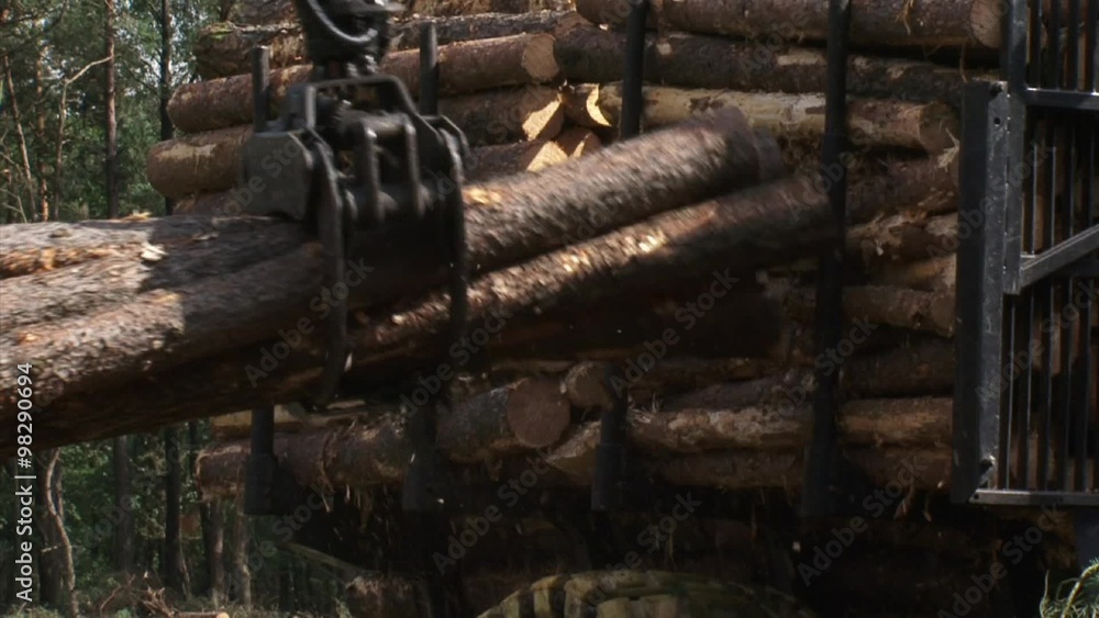 gathering + loading timber on logging truck - medium shot gathering + loading timber on logging truck - medium shot