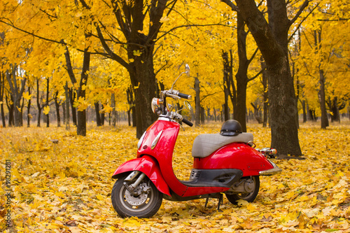 Vintage motorcycle in the autumn forest.