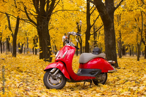 Vintage motorcycle in the autumn forest.
