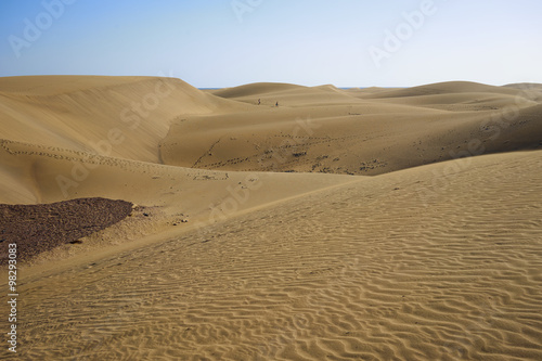   Dunes in desert under blue sky    Large sandy dunes in a wide dessert