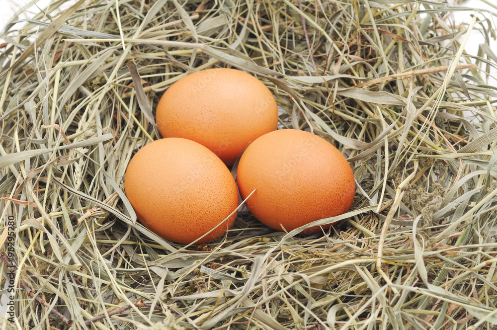 Three eggs in a nest. Three eggs in a nest.