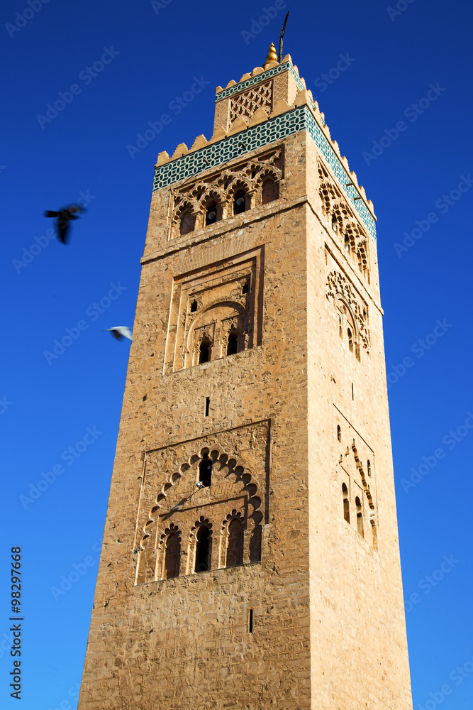   maroc africa minaret and the bird