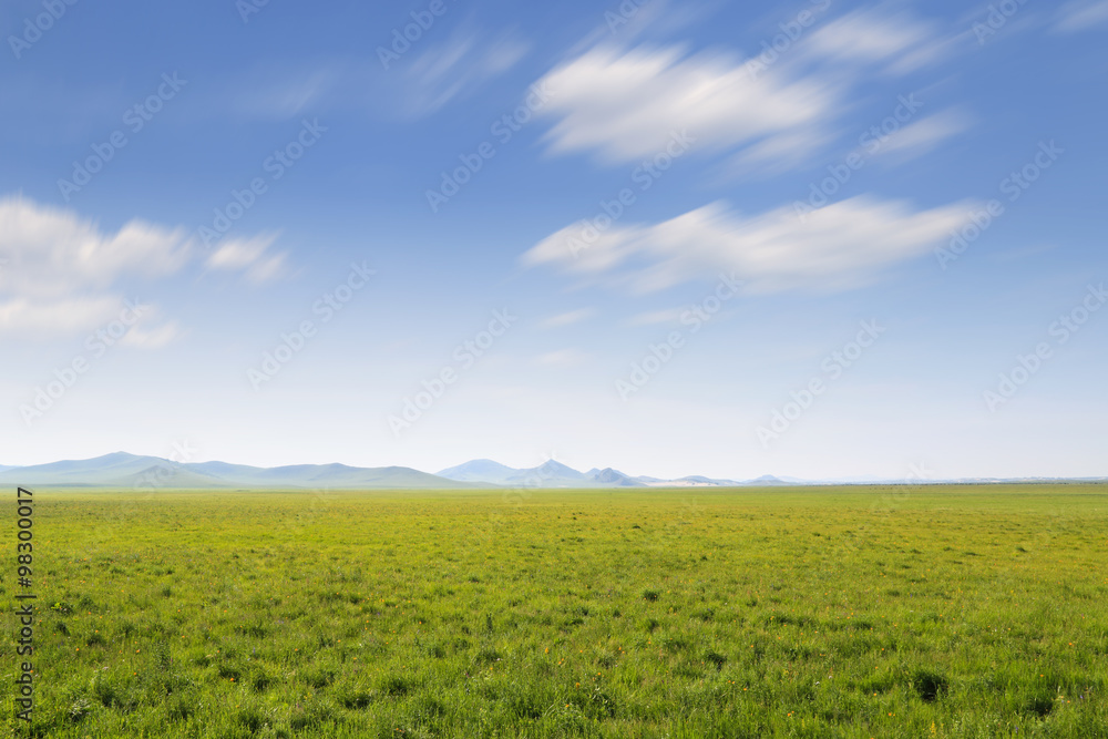 Grassland,