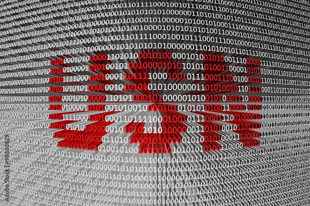 The USN is represented as a binary code The USN is represented as a binary code