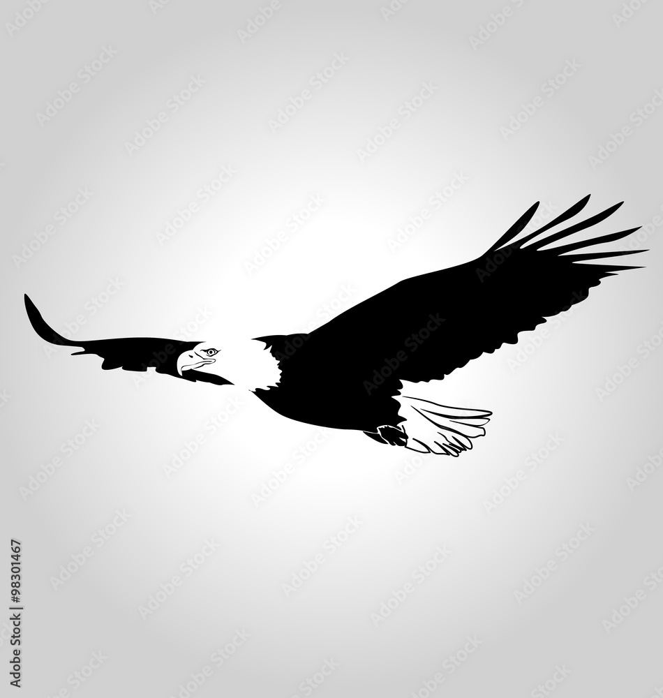 Fototapeta premium Vector silhouette flying eagle