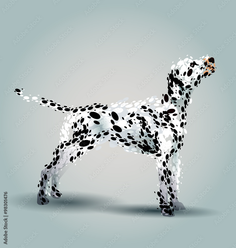 Vector illustration Dalmatian