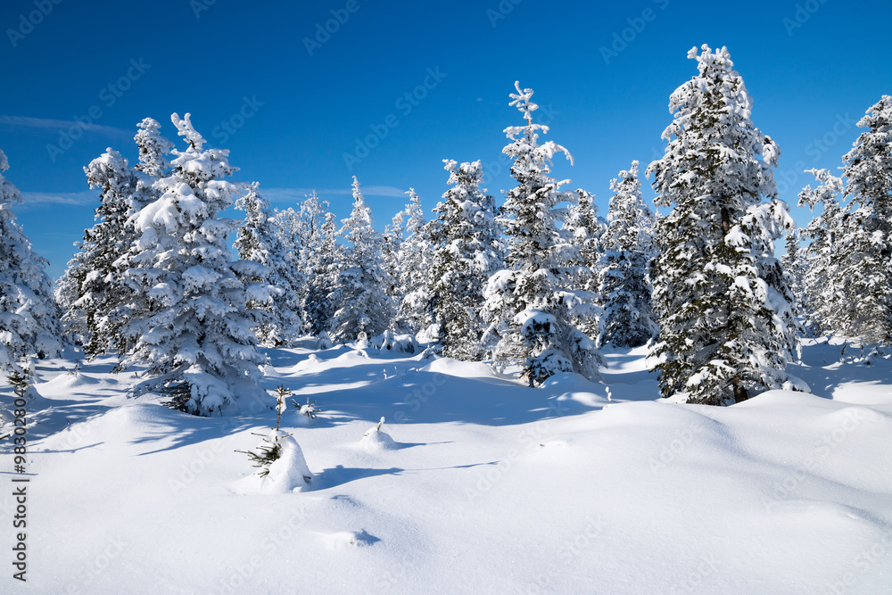 Winterlandschaft im Erzgebirge