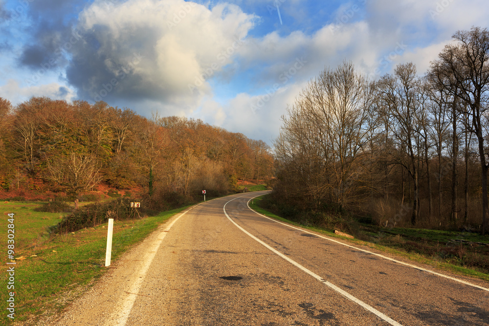 Fototapeta premium Highway passing through rural ares and forests