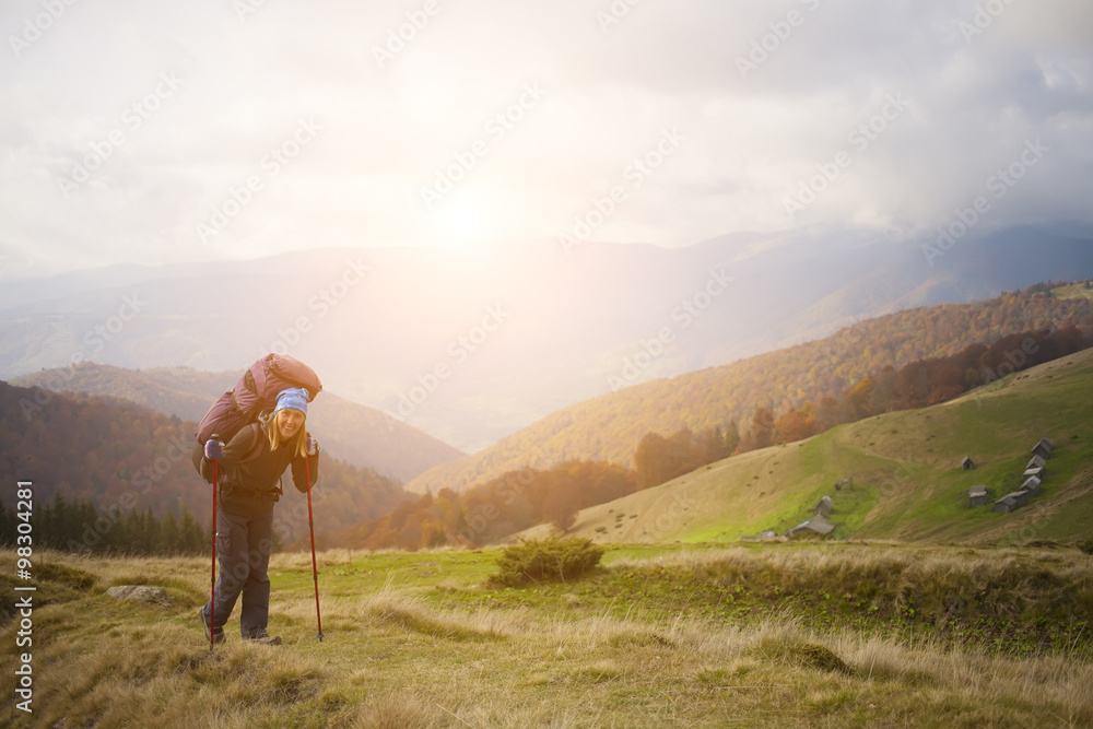 Tourist with a backpack is on a forest trail.