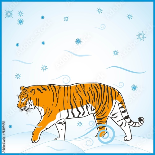 Тигр. Tiger.