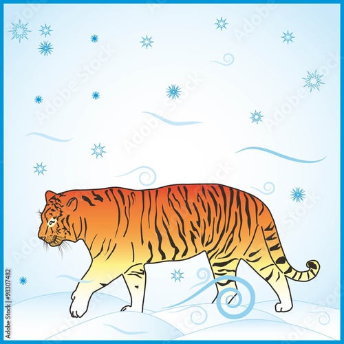 Тигр. Tiger.