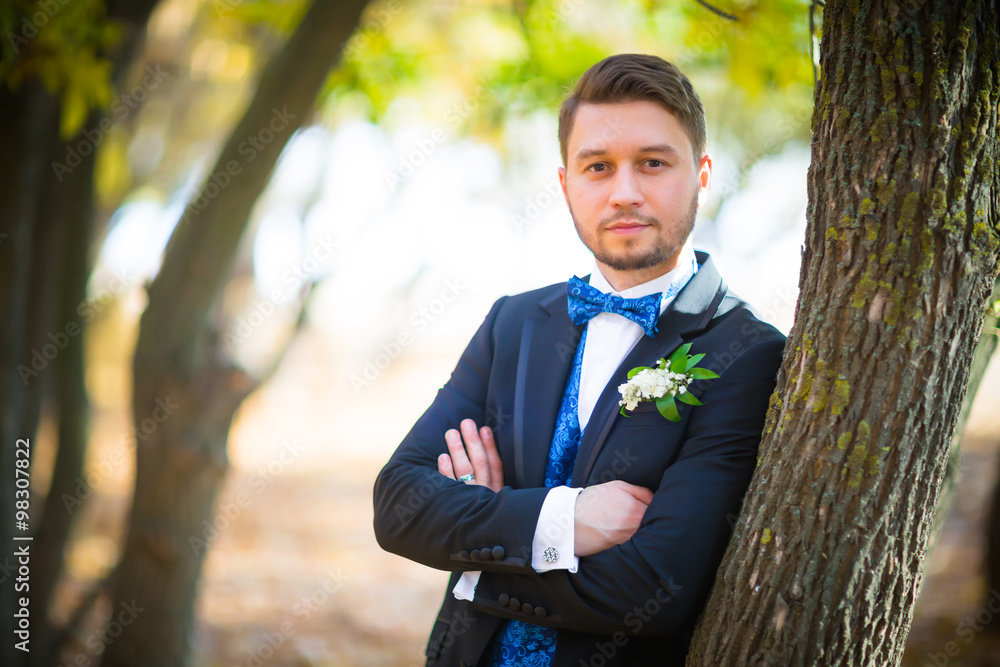Portrait of a beautiful groom Portrait of a beautiful groom