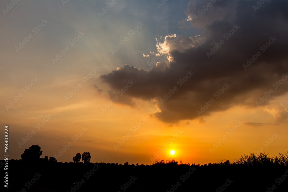 Fototapeta premium silhouette and sunset
