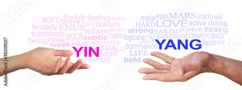 Together we are Stronger -  Female hand with open palm gesturing to a pink YIN word cloud, opposite a male open palm with a blue YANG word cloud floating above on a white background
