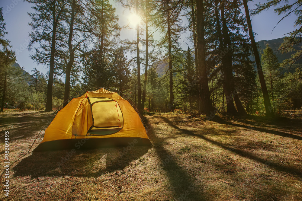 Yellow Tourist tent in sunshine in Mountain Forest. Recreation, relax and freedom