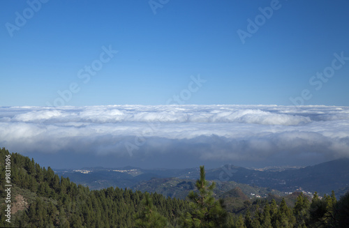 Inland Central Gran Canaria, Las Cumbres, the highest areas of t