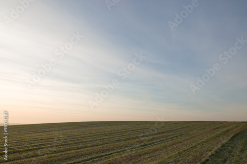 winter field with hoarfrost