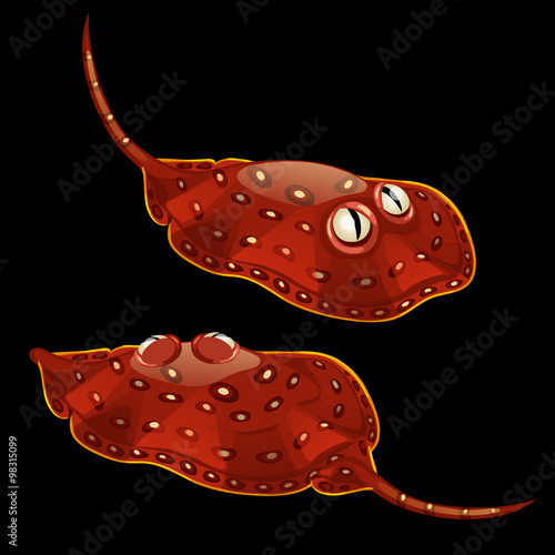Two red cartoon stingrays on a black background