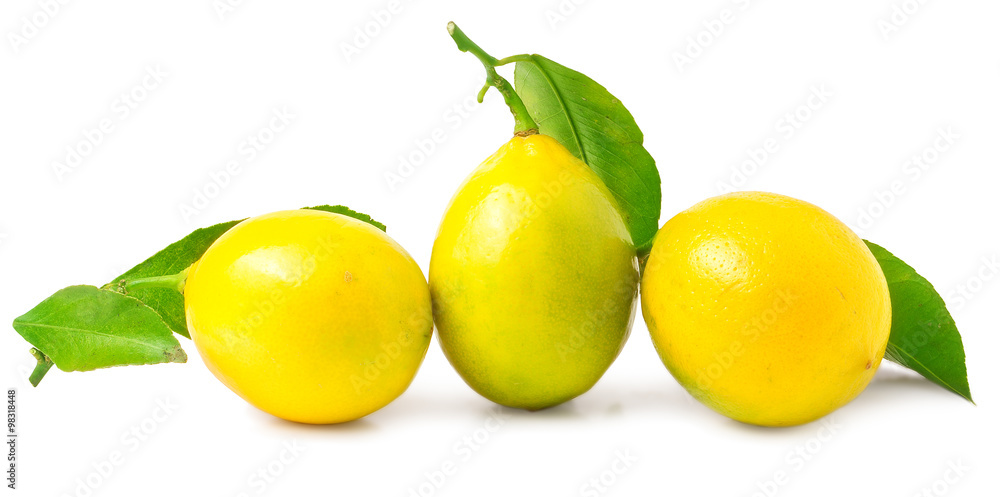 Three lemons on a white background