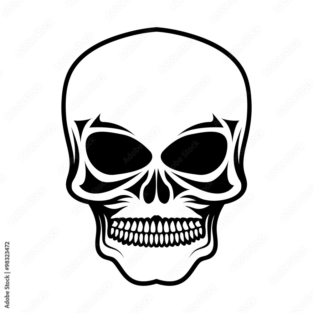 Fototapeta premium skull