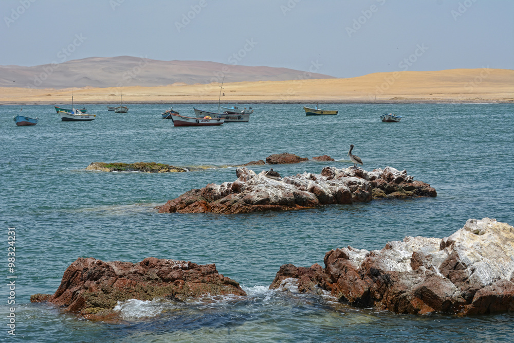 Paracas National Reserve, Peru.