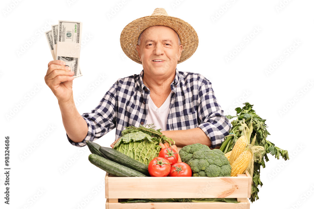 Mature farmer holding few stacks of dollars Mature farmer holding few stacks of dollars