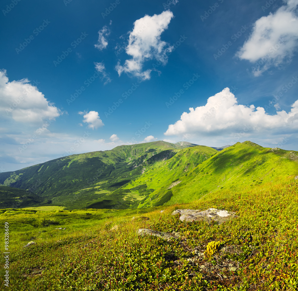 Fototapeta premium High mountains in the summer time. Beautiful natural landscape