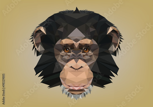 scimmia low poly photo
