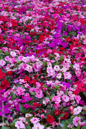 Wallpaper Mural bed with flowers Torontodigital.ca