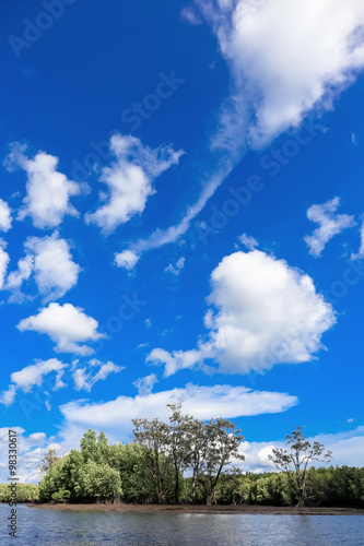 blue sky with cloud