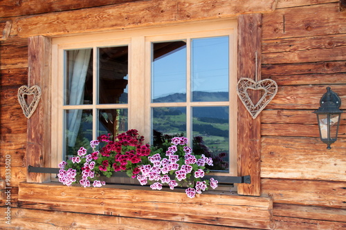 Alpen im Fenster