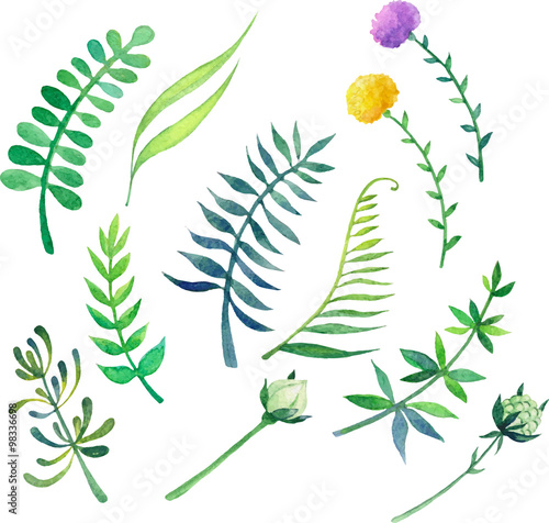 Watercolor spring green elements