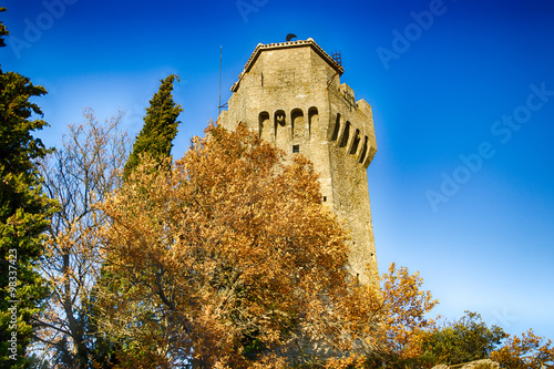 Medieval tower behind branches