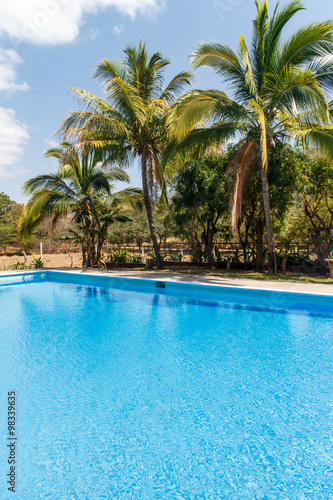 pool outdoors with tropical palm