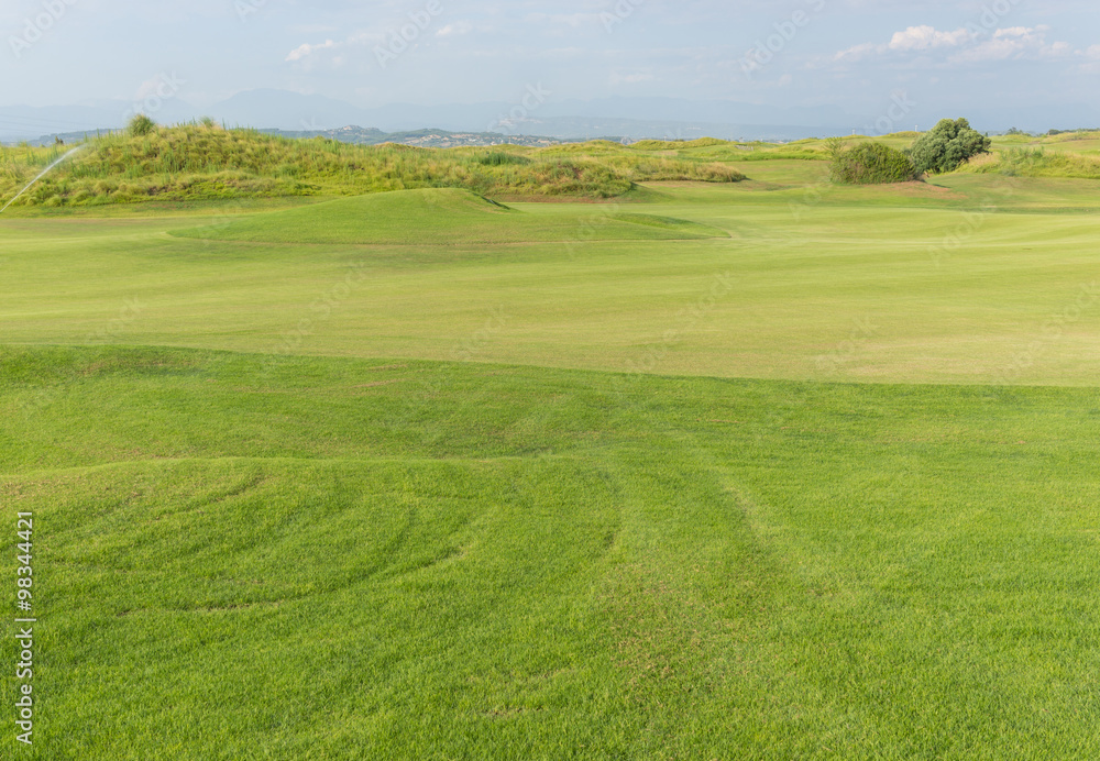 Obraz premium Perfect grass meadow