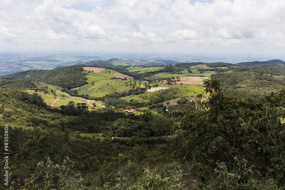 Árvores e montanhas do Pico do Gavião Árvores e montanhas do Pico do Gavião