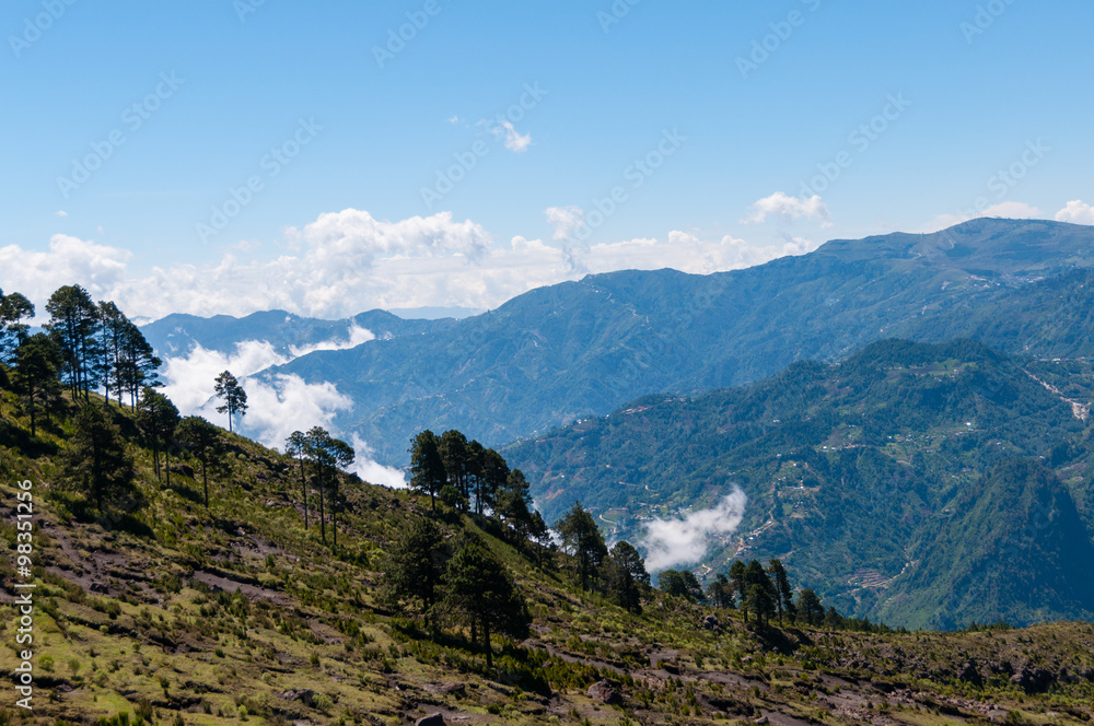 Fototapeta premium Some Trees at green slope in front of a big blue mountain Tajamulco with cloudscape