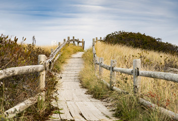 Fototapete Abstieg zum Strand Sandiger Fußweg zum Strand  © Enrico Della Pietra