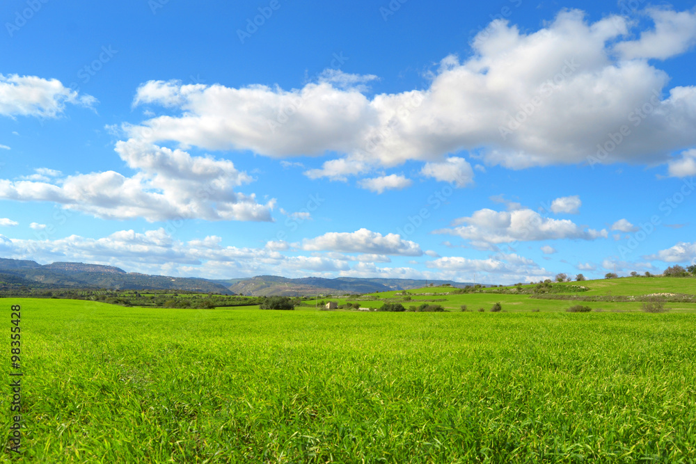 Paesaggio con una collina verde e delle belle nuvole nel cielo azzurro