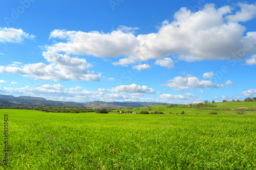 Paesaggio con una collina verde e delle belle nuvole nel cielo azzurro